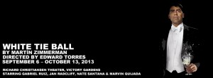WhiteTieBall_810x300
