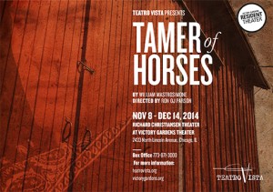 tamer-of-horseslogo