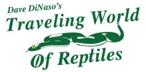 traveling world of reptiles