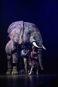 Circus 1903 Elephant